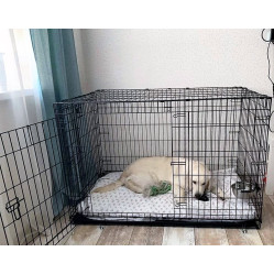 Вольєри та клітки для собак Клітка для перенесення собак Металева клітка переноска для собак (122x76x83 см)