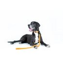 Повідець водовідштовхуючий Collar Evolutor Waterproof, Ширина 25 мм, Довжина 210 см, Помаранчевий, Міцний повідець