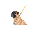 Повідець водовідштовхуючий Collar Evolutor Waterproof, Ширина 25 мм, Довжина 210 см, Помаранчевий, Міцний повідець