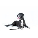 Поводок водоотталкивающий Collar Evolutor Waterproof, Ширина 25 мм, Длина 210 см, Черный, Крепкий поводок
