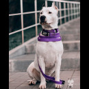 Повідець водовідштовхувальний Collar "Evolutor" Waterproof, Ширина 25мм, Довжина 300 см, Фіолетовий, Міцний повідець