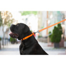Поводок водоотталкивающий Collar "Эволютор" Waterproof, Ширина 25 мм, Длина 300 см, Оранжевый, Крепкий поводок