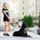 Поводок водоотталкивающий Collar "Эволютор" Waterproof, Ширина 25 мм, Длина 300 см, Оранжевый, Крепкий поводок