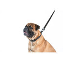 Повідець Collar EVOLUTOR, Чорний, Довжина 120 см, Ширина 25 мм, Повідець коллар waterproof, Повідець для вівчарки