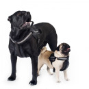 Шлейка для собак Collar Police No4 (В:75-100 см) з ліхтариком Червона шлея для собак, Нейлонова шлейка для собак